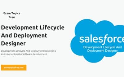 Development Lifecycle And Deployment Designer Free