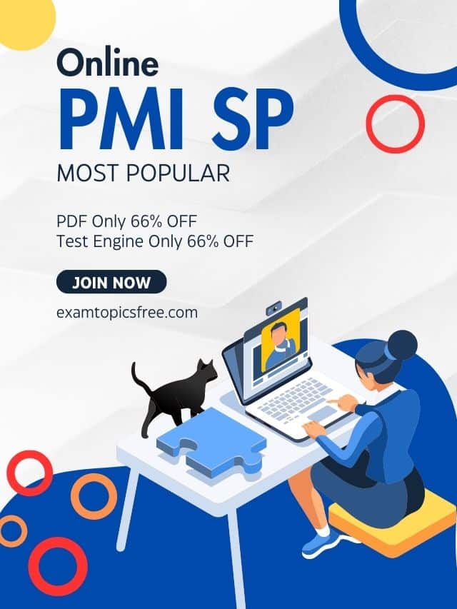 PMI SP Project Management Professional Training Center