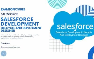 A Comprehensive Guide to the Salesforce Development Lifecycle and Deployment Designer